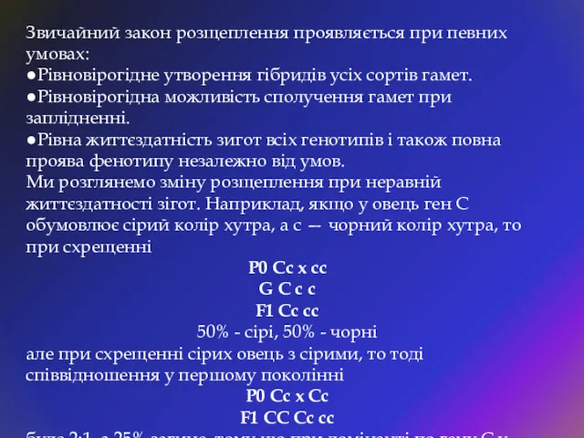 Звичайний закон розщеплення проявляється при певних умовах: ●Рівновірогідне утворення гібридів