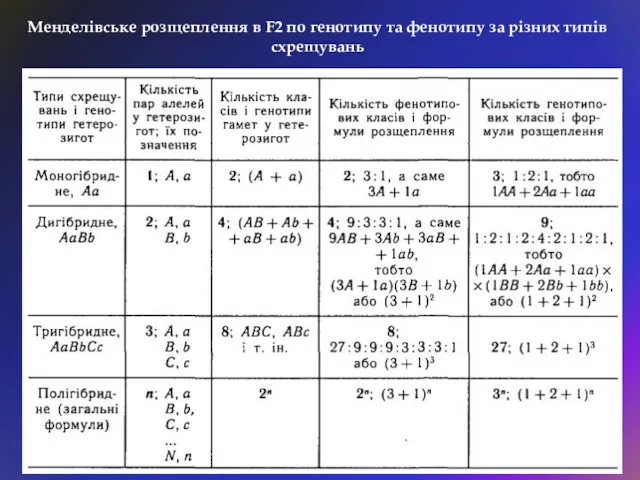 Менделівське розщеплення в F2 по генотипу та фенотипу за різних типів схрещувань