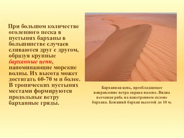 Барханная цепь, преобладающее направление ветра справа налево. Видна песчаная рябь