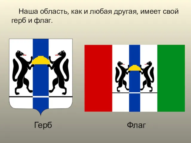 Наша область, как и любая другая, имеет свой герб и флаг. Герб Флаг