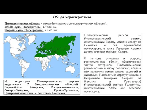 На территории Палеарктического царства выделяются 7 биофилотических областей: Европейская, Ангарская,