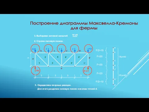 F/2 F/2 F F F 3. Выбираем силовой масштаб Построение