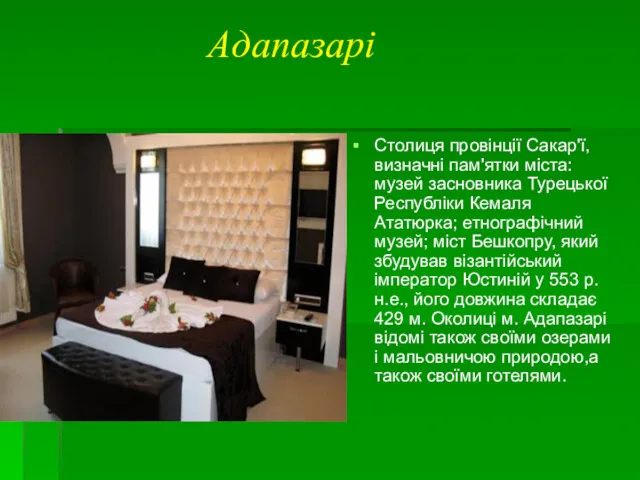 Адапазарі Столиця провінції Сакар'ї, визначні пам'ятки міста: музей засновника Турецької