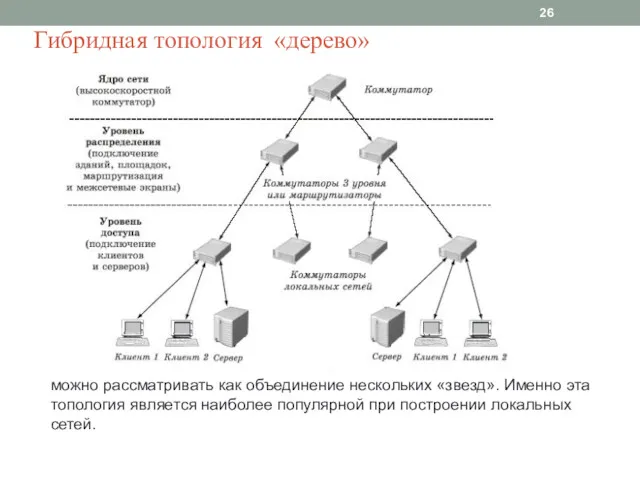 Гибридная топология «дерево» можно рассматривать как объединение нескольких «звезд». Именно