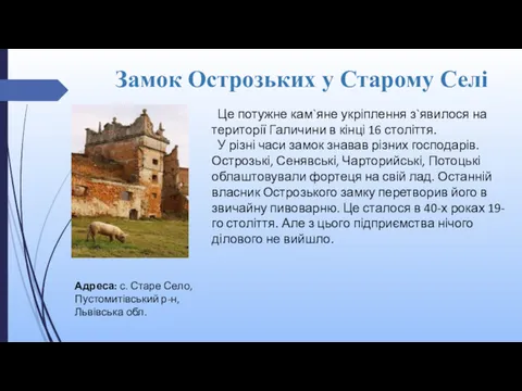 Замок Острозьких у Старому Селі Це потужне кам`яне укріплення з`явилося