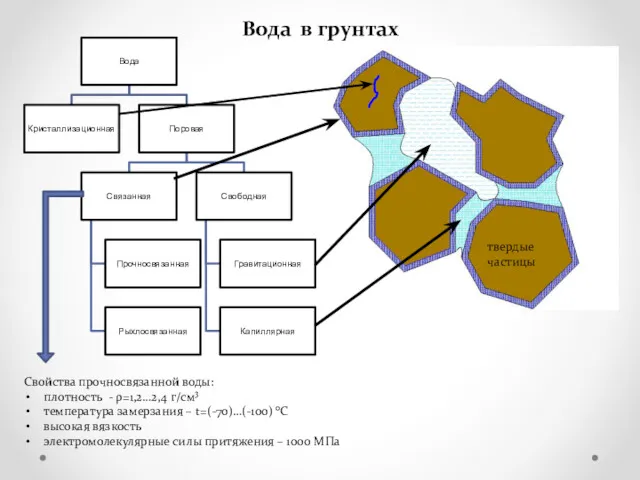 Вода в грунтах твердые частицы Свойства прочносвязанной воды: плотность -