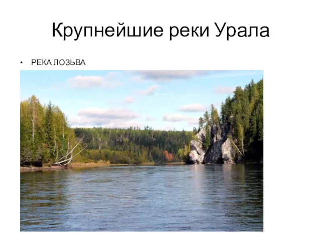 Крупнейшие реки Урала РЕКА ЛОЗЬВА