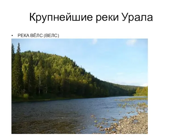 Крупнейшие реки Урала РЕКА ВЁЛС (ВЕЛС)