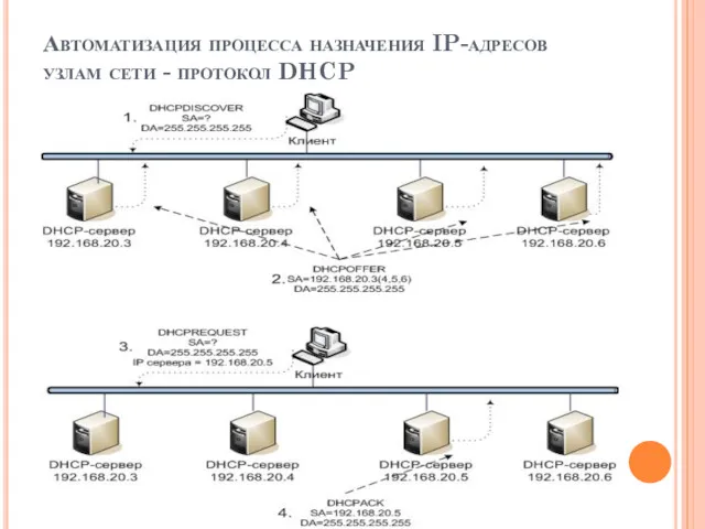 Автоматизация процесса назначения IP-адресов узлам сети - протокол DHCP