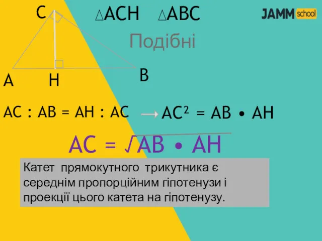 А С В Н АСН АВС Подібні АС : АВ