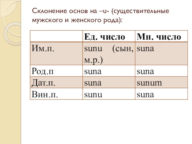 Склонение основ на –u- (существительные мужского и женского рода):