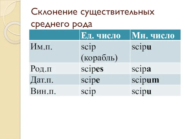 Склонение существительных среднего рода