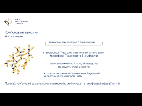 Кон’юговані вакцини + окремо антигени, які визначають імуногенні характеристики мікроорганізму