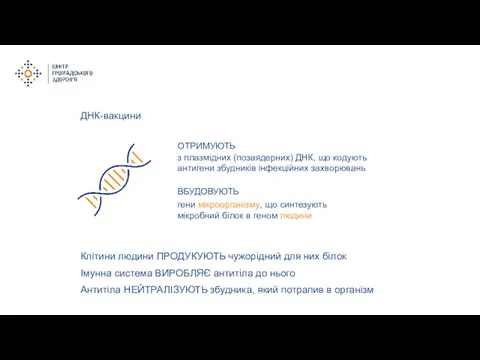 ДНК-вакцини Клітини людини ПРОДУКУЮТЬ чужорідний для них білок Імунна система