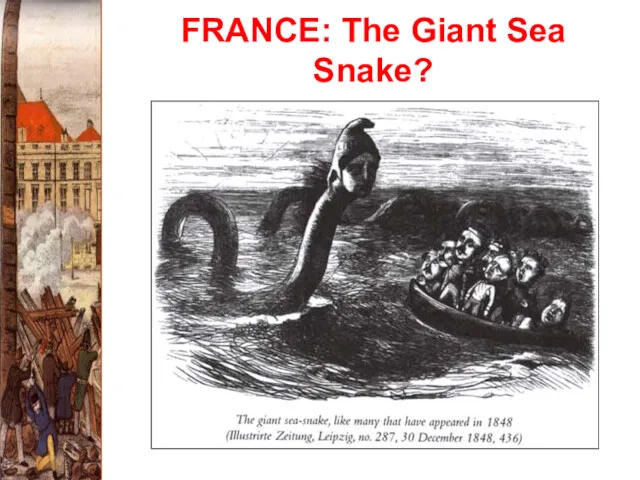 FRANCE: The Giant Sea Snake?