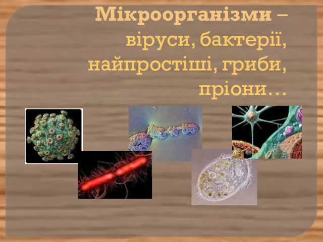 Мікроорганізми – віруси, бактерії, найпростіші, гриби, пріони…