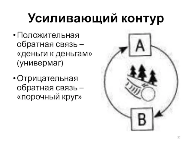 Усиливающий контур Положительная обратная связь – «деньги к деньгам» (универмаг) Отрицательная обратная связь – «порочный круг»