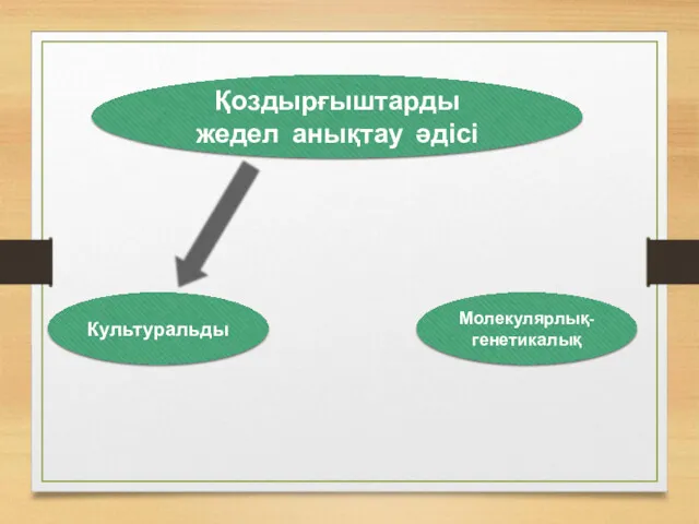 Қоздырғыштарды жедел анықтау әдісі Культуральды Молекулярлық- генетикалық Bactec MGIT 960