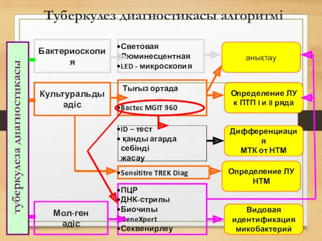 Туберкулез диагностикасы алгоритмі туберкулеза диагностикасы Бактериоскопия Культуральды әдіс Мол-ген әдіс