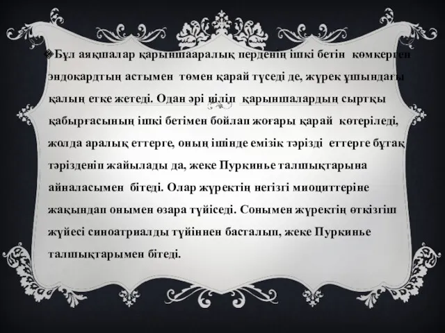 Бұл аяқшалар қарыншааралық перденің ішкі бетін көмкерген эндокардтың астымен төмен