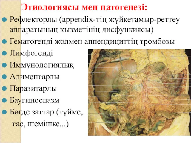Этиологиясы мен патогенезі: Рефлекторлы (appendix-тің жүйкетамыр-реттеу аппаратының қызметінің дисфункиясы) Гематогенді