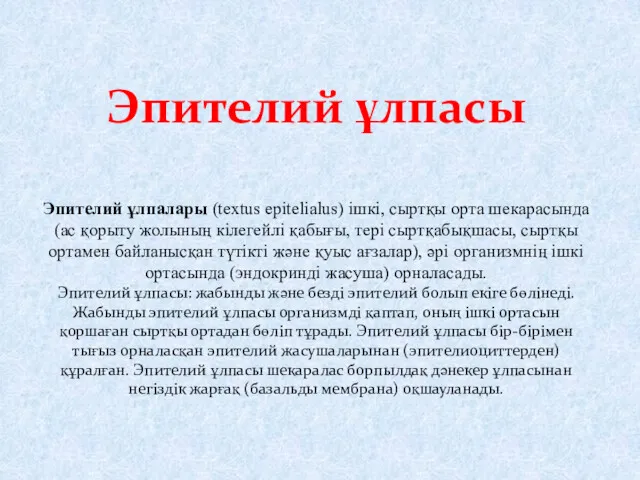 Эпителий ұлпалары (textus epitelialus) iшкi, сыртқы орта шекарасында (ас қорыту