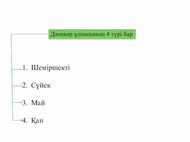 Дәнекер ұлпасының 4 түрі бар Шеміршекті Сүйек Май Қан