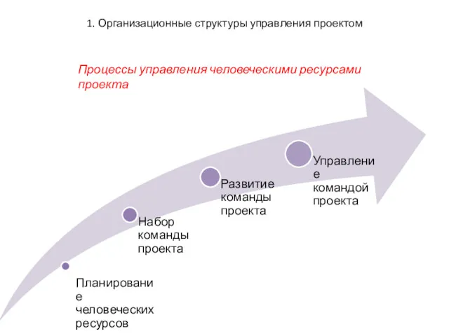 1. Организационные структуры управления проектом Процессы управления человеческими ресурсами проекта