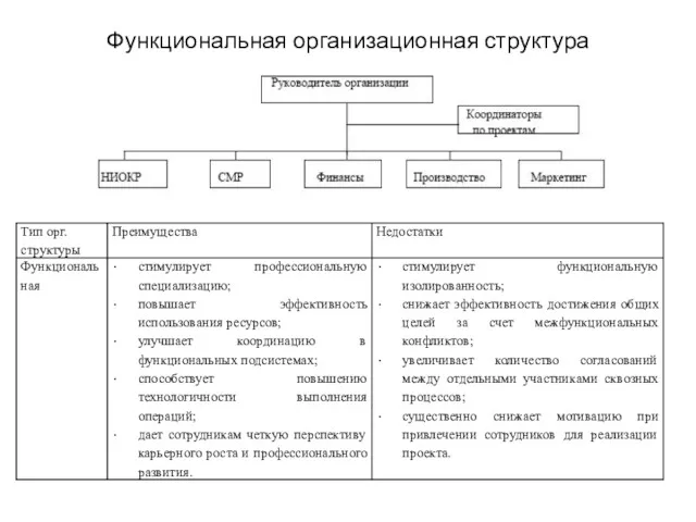 Функциональная организационная структура