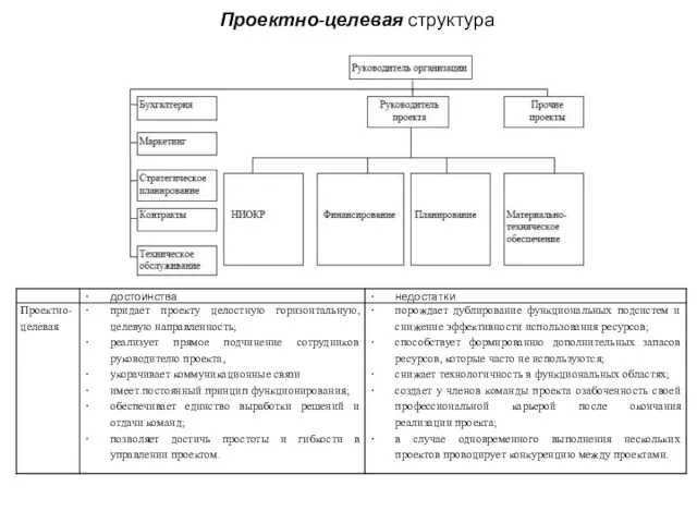 Проектно-целевая структура