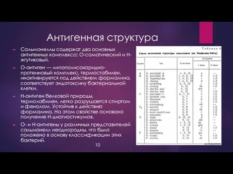 Антигенная структура Сальмонеллы содержат два основных антигенных комплекса: О-соматический и