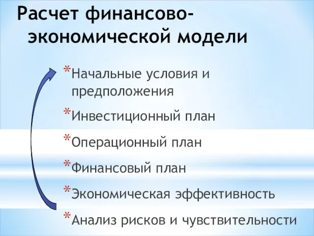 Расчет финансово-экономической модели Начальные условия и предположения Инвестиционный план Операционный