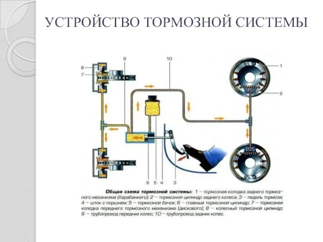 УСТРОЙСТВО ТОРМОЗНОЙ СИСТЕМЫ