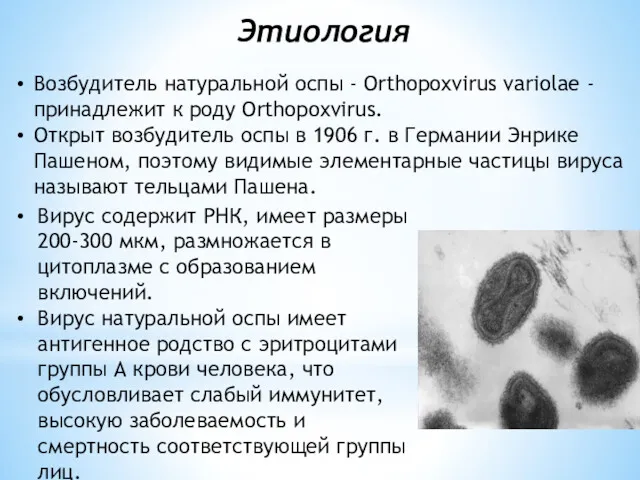 Этиология Возбудитель натуральной оспы - Orthopoxvirus variolae - принадлежит к