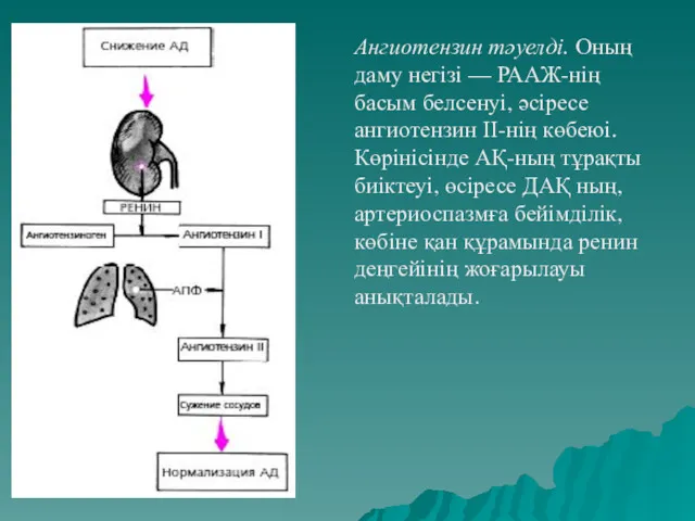 Ангиотензин тәуелді. Оның даму негізі — РААЖ-нің басым белсенуі, әсіресе