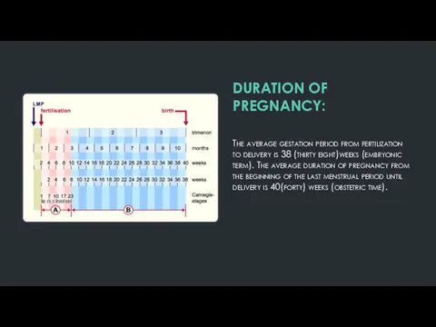 DURATION OF PREGNANCY: The average gestation period from fertilization to