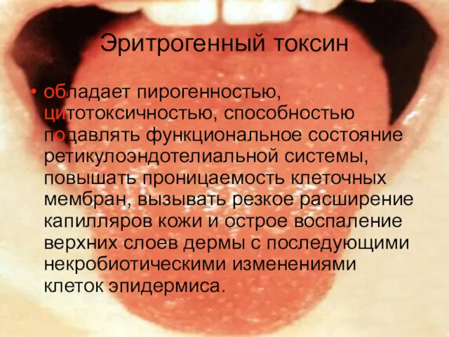 Эритрогенный токсин обладает пирогенностью, цитотоксичностью, способностью подавлять функциональное состояние ретикулоэндотелиальной системы, повышать проницаемость