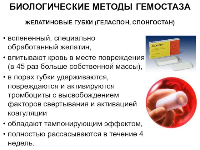 БИОЛОГИЧЕСКИЕ МЕТОДЫ ГЕМОСТАЗА жЕЛАТИНОВЫЕ ГУБКИ (ГЕЛАСПОН, СПОНГОСТАН) вспененный, специально обработанный