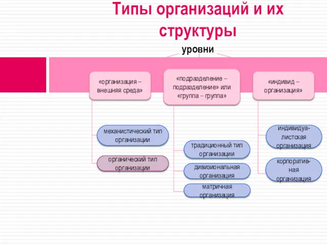 Типы организаций и их структуры уровни «организация – внешняя среда»