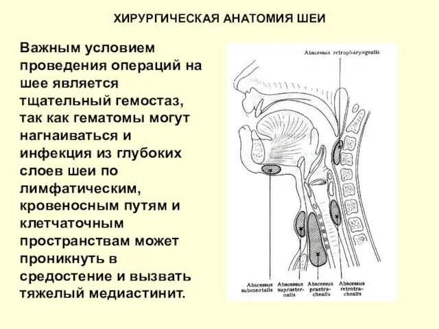 Важным условием проведения операций на шее является тщательный гемостаз, так как гематомы могут