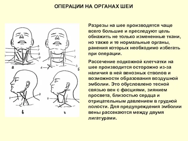 Разрезы на шее производятся чаще всего большие и преследуют цель обнажить не только