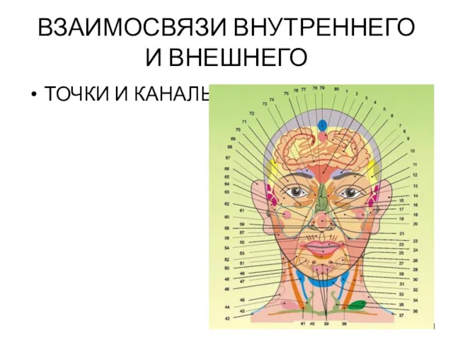 ВЗАИМОСВЯЗИ ВНУТРЕННЕГО И ВНЕШНЕГО ТОЧКИ И КАНАЛЫ