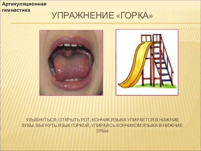 УПРАЖНЕНИЕ «ГОРКА» УЛЫБНУТЬСЯ, ОТКРЫТЬ РОТ, КОНЧИК ЯЗЫКА УПИРАЕТСЯ В НИЖНИЕ