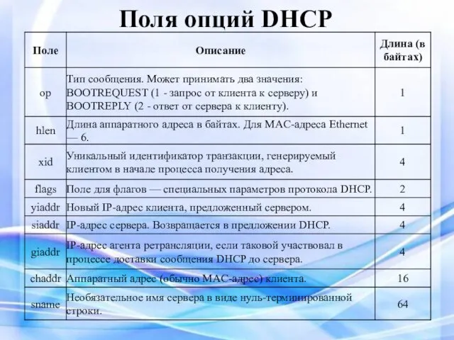 Поля опций DHCP