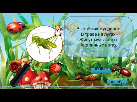 В зелёных мундирах В траве на лугах Живут музыканты На длинных ногах. ПРОВЕРЬ ВПЕРЁД