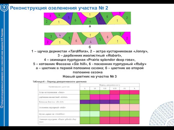 Реконструкция озеленения участка № 2 9 а б 1 –