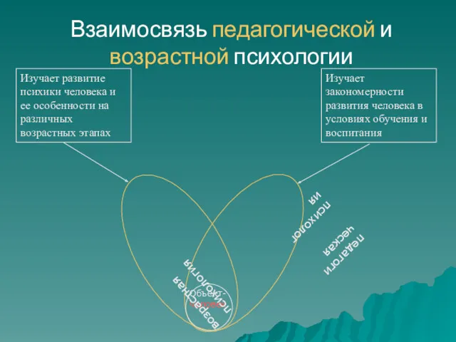 Объект- человек Взаимосвязь педагогической и возрастной психологии