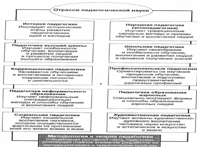 Отрасли педагогической науки