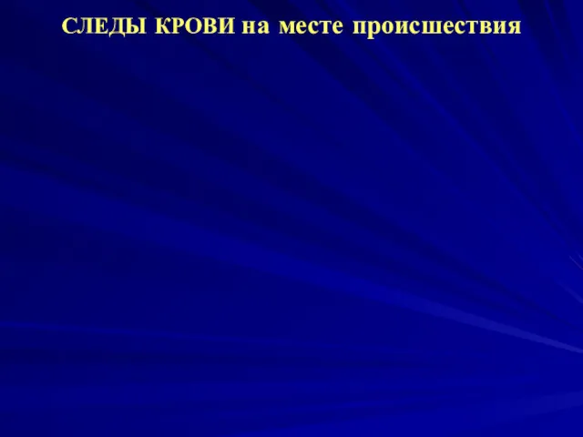 СЛЕДЫ КРОВИ на месте происшествия