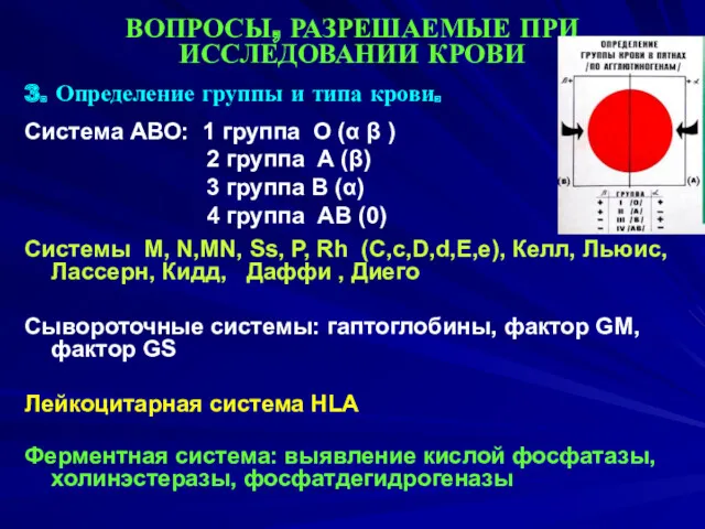 ВОПРОСЫ, РАЗРЕШАЕМЫЕ ПРИ ИССЛЕДОВАНИИ КРОВИ 3. Определение группы и типа